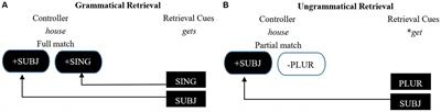 The neurocognitive processing mechanism of English subject-verb agreement by Chinese-speaking learners